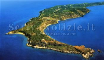 Milazzo - Milazzo (ME) – Bando dell’Area marina per individuare il Direttore