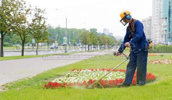 Milazzo - Milazzo (ME) - Annullato in autotutela il bando per assumere cinque giardinieri