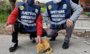 Milazzo - Milazzo (ME) - Via libera agli ispettori ambientali