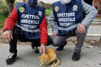 Milazzo - Milazzo (ME) - Ispettore ambientale, ultima settimana per presentare istanze di partecipazione